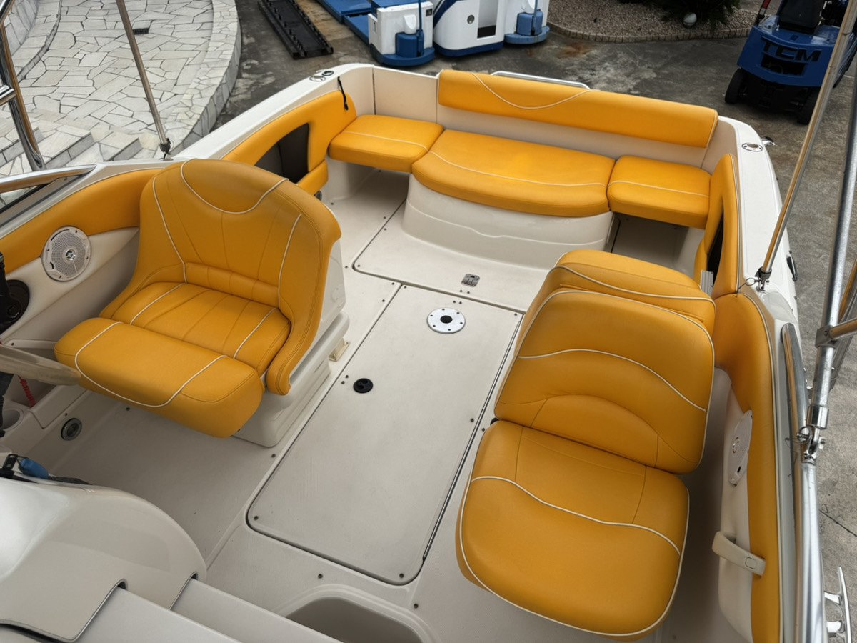 SeaRay245WE