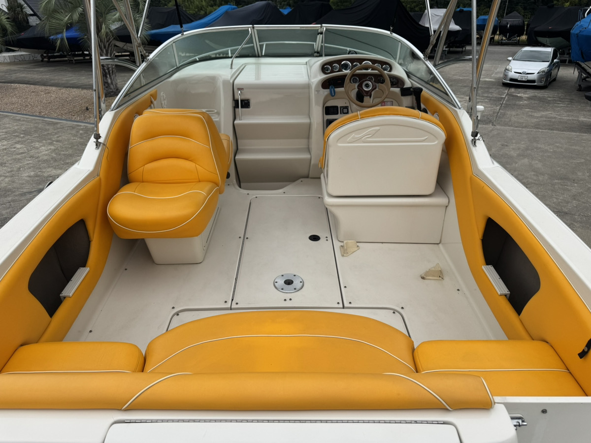 SeaRay245WE