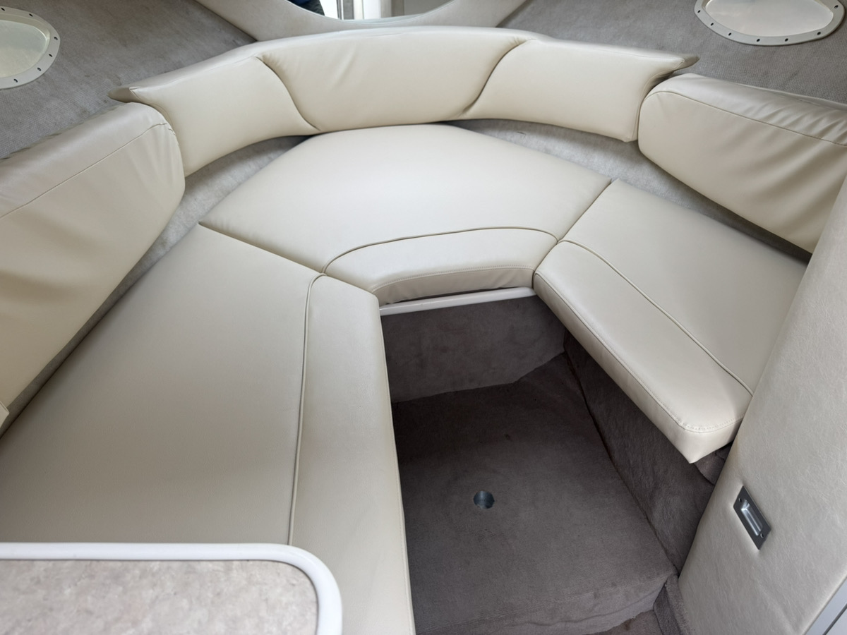 SeaRay245WE