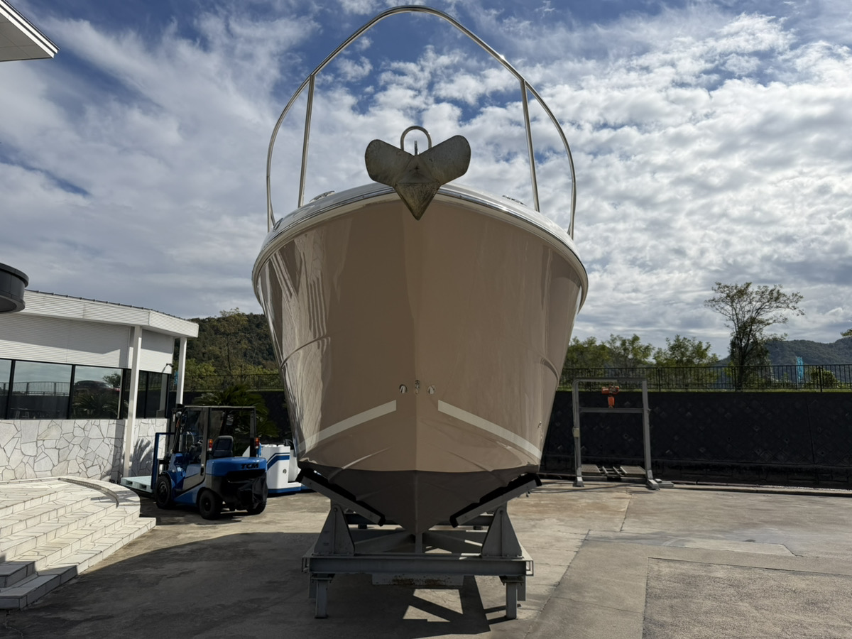 SeaRay290DA（2006）