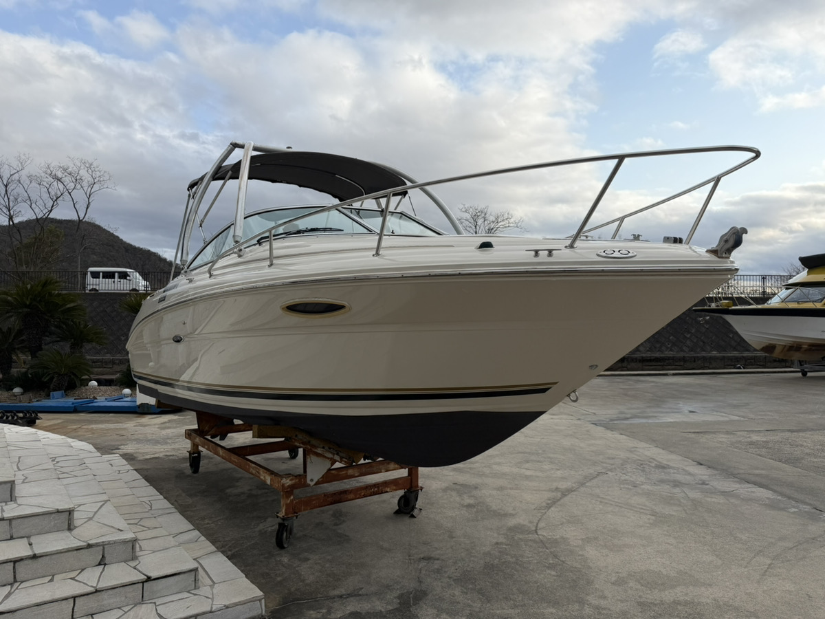 SeaRay215WE