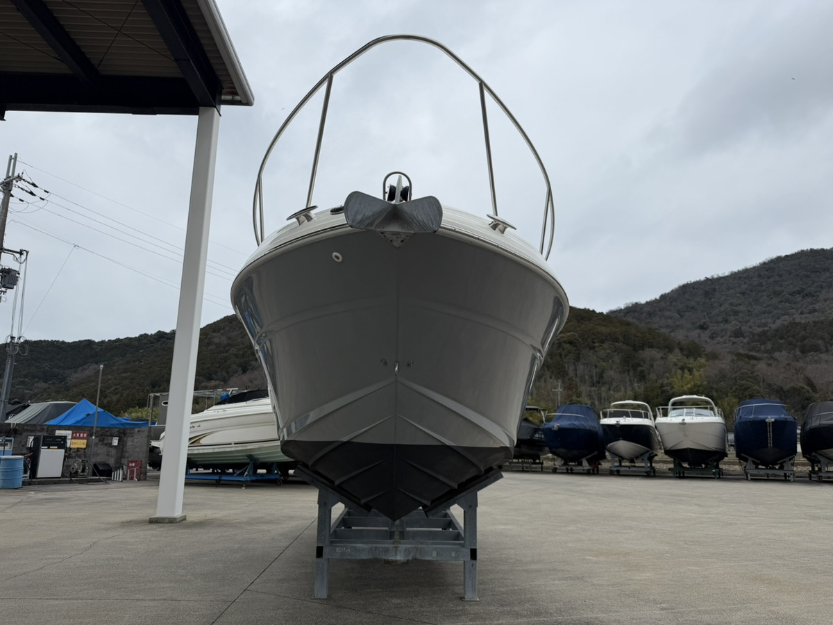 SeaRay315DA