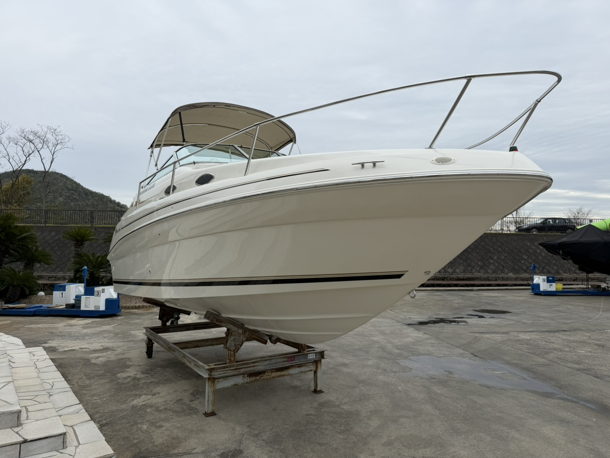 SeaRay 240DA