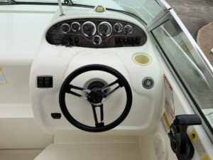 SeaRay 240DA  長龍マリーナ