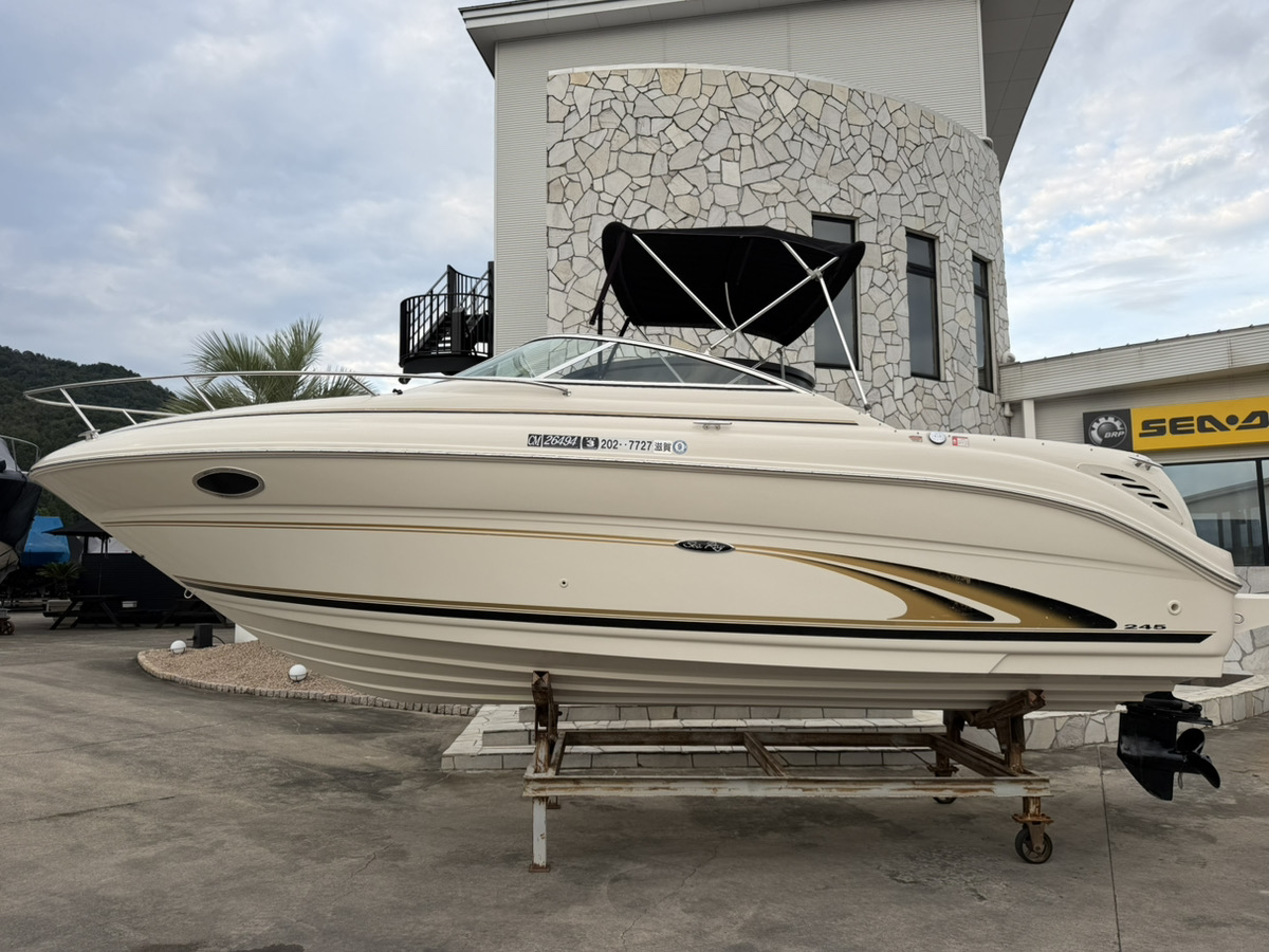 SeaRay 245WE