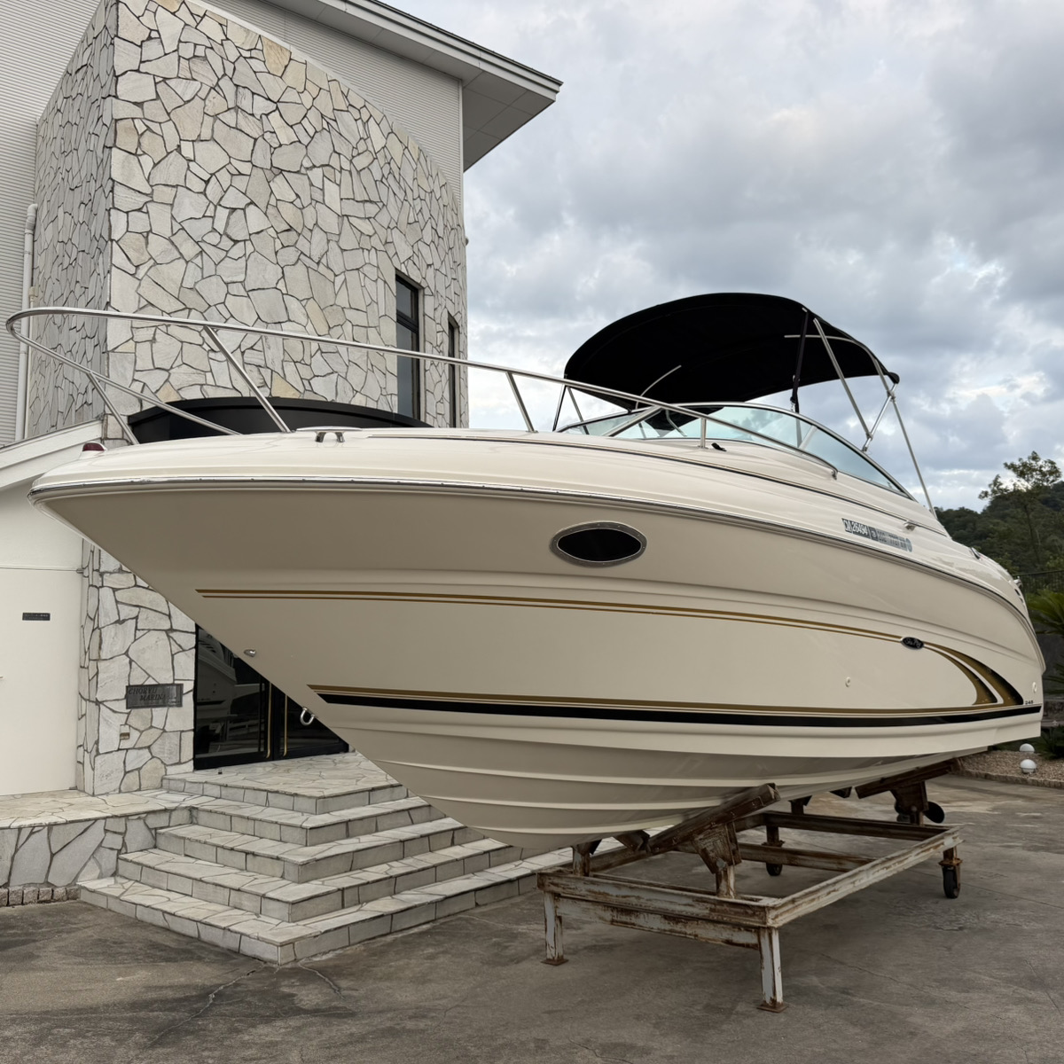 SeaRay 245WE