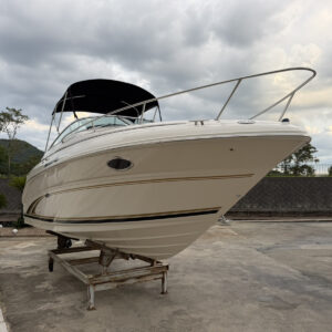 SeaRay 245WE　長龍マリーナ