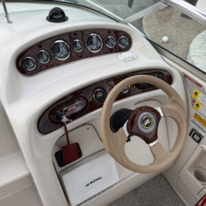 SeaRay 245WE　長龍マリーナ