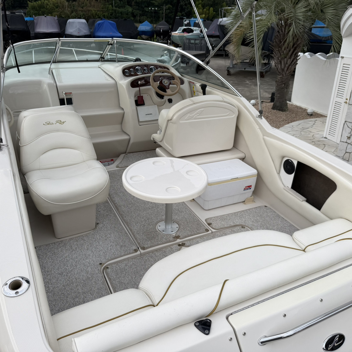 SeaRay 245WE