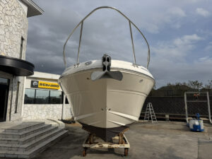 SeaRay 315 SunDancer 長龍マリーナ