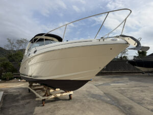 SeaRay 315 SunDancer 長龍マリーナ