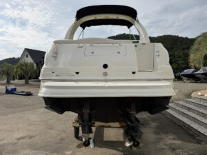 SeaRay 315 SunDancer 長龍マリーナ