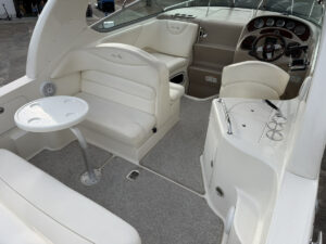 SeaRay 315 SunDancer 長龍マリーナ